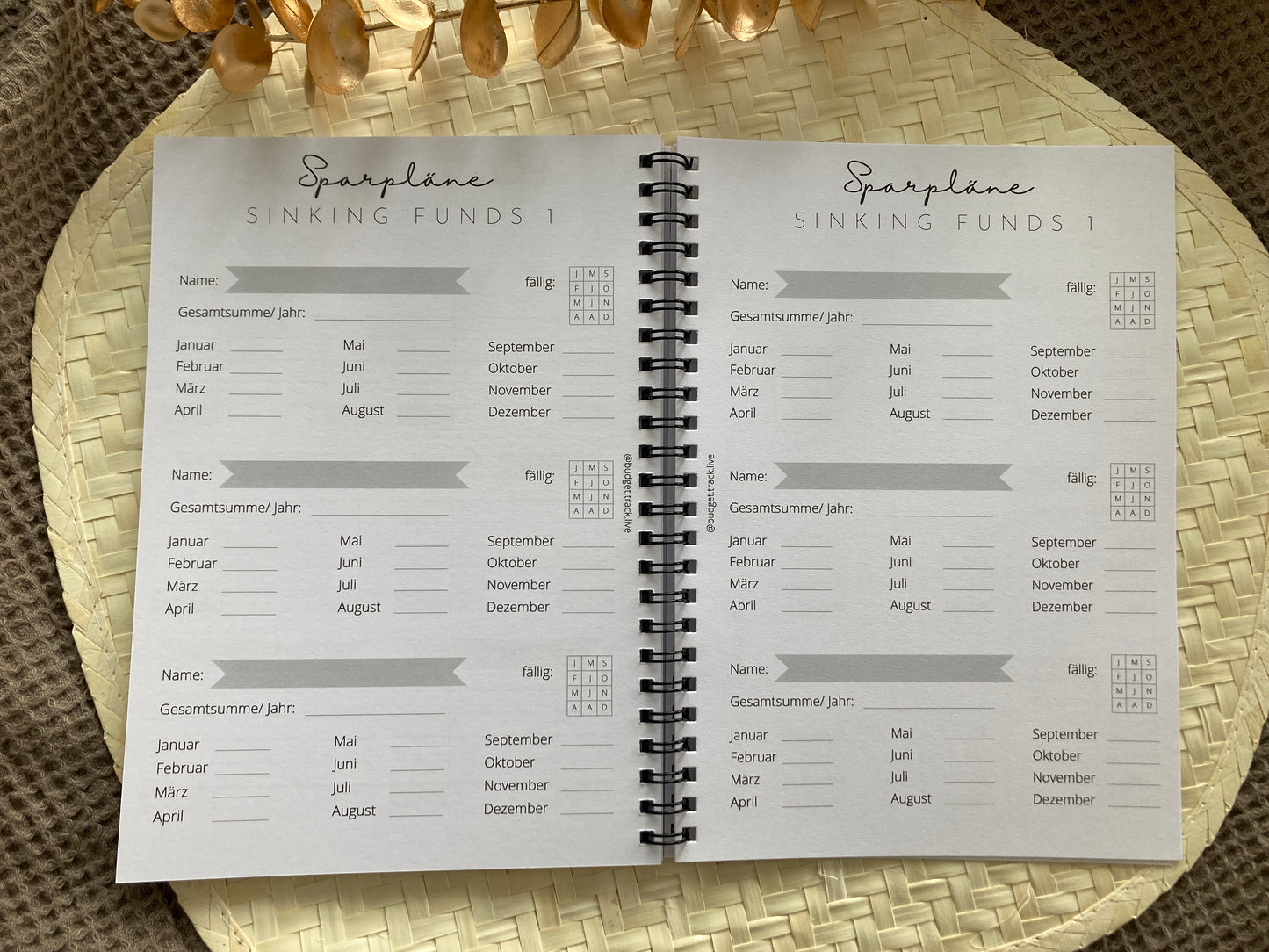 Budgetplaner A5 Ringbuch