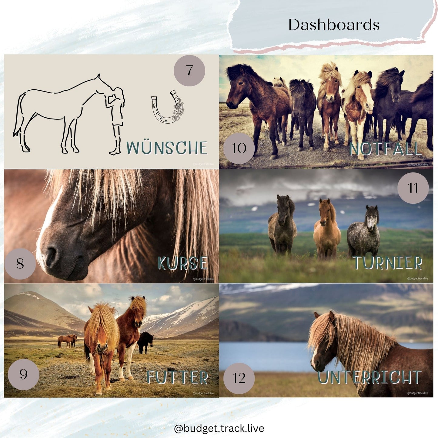 Dashboards - Pferde - Sparbinder